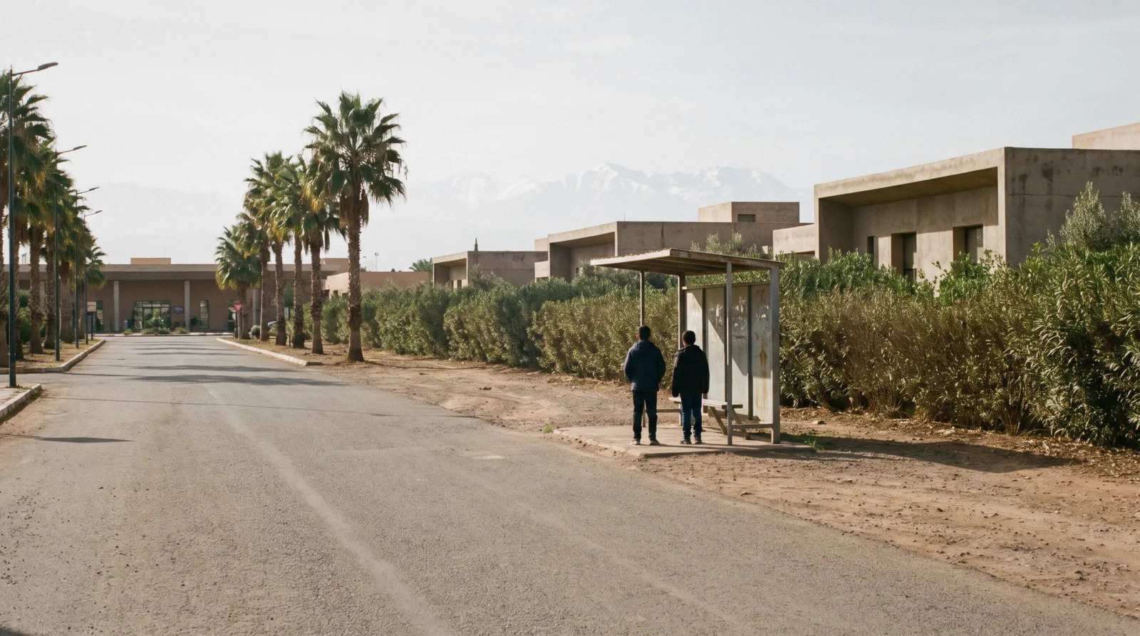 Airport road and palms on the way into Marrakech from Menara, the transfer at the centre of any Marrakech layover plan