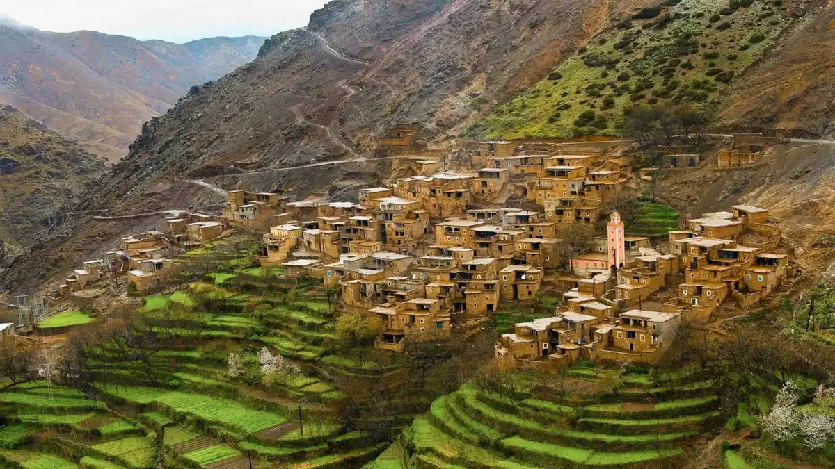 Terraced fields and a Berber village below snow-dusted peaks on an Atlas Mountains day trip from Marrakech